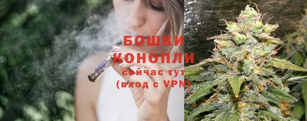 spice Ладушкин